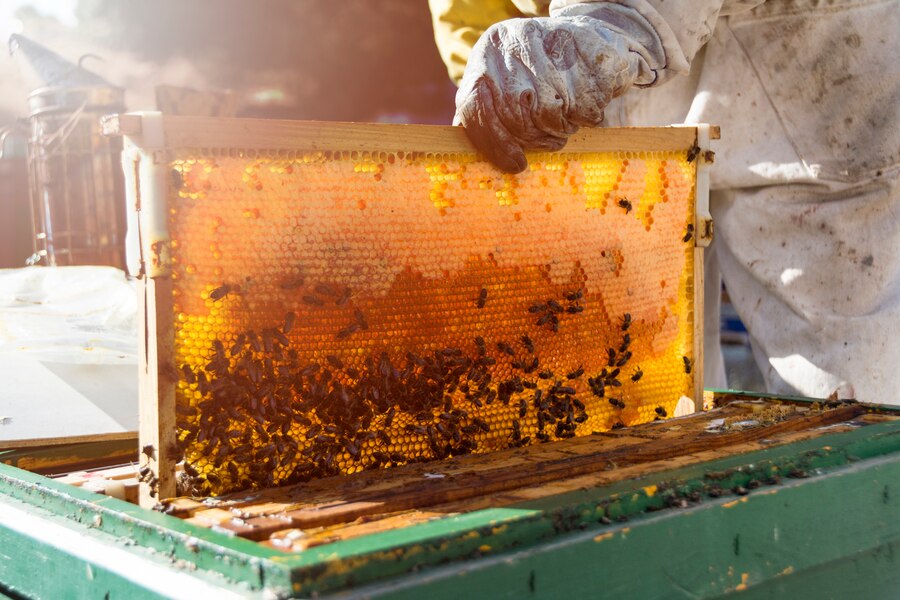 bee_95678-8