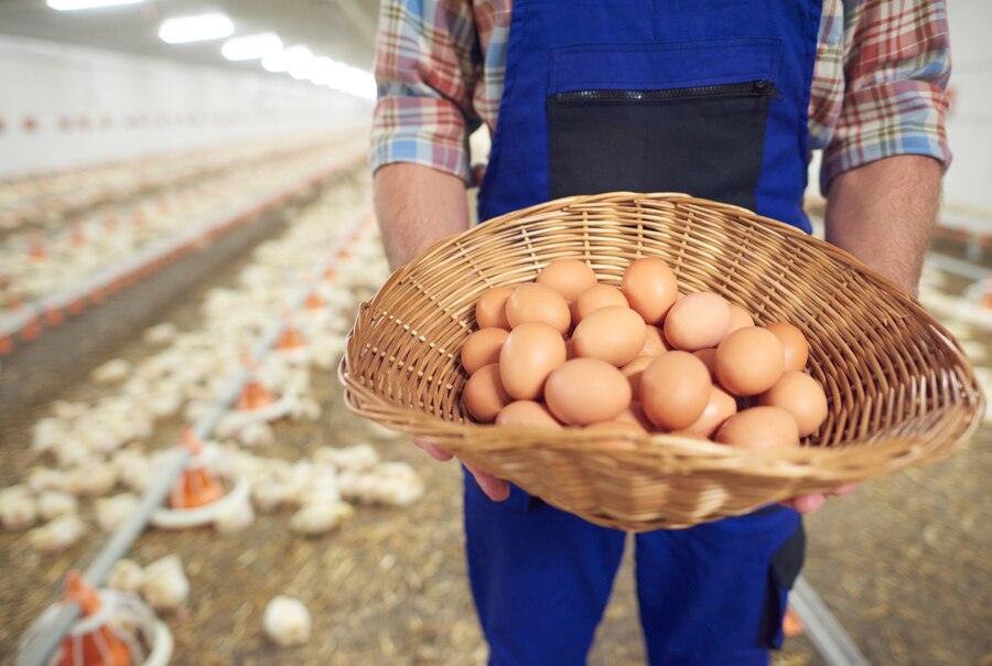 young-farmer-taking-care-his-business_329181-15950
